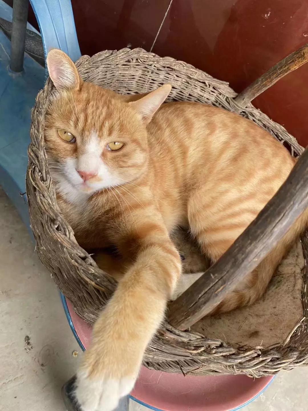 大md文档测试文件