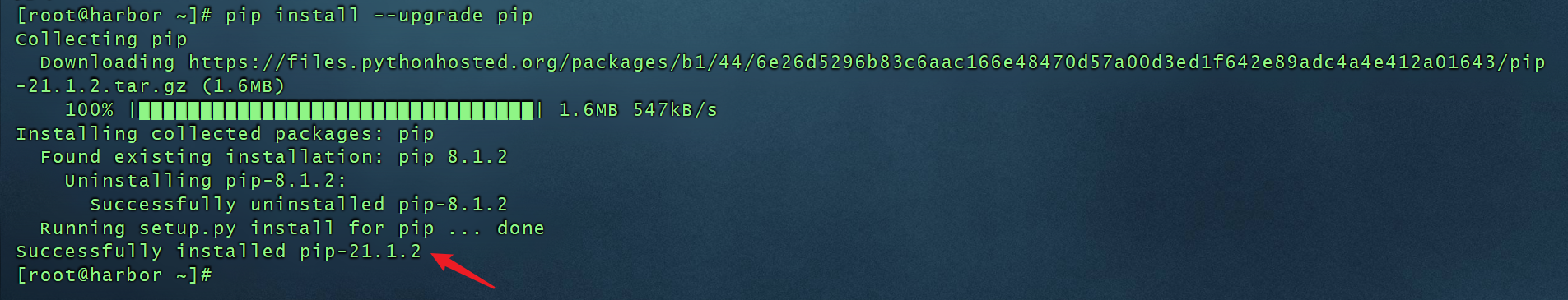 image-20210529194144911