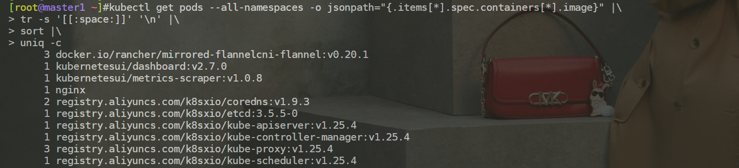 image-20230220213943437