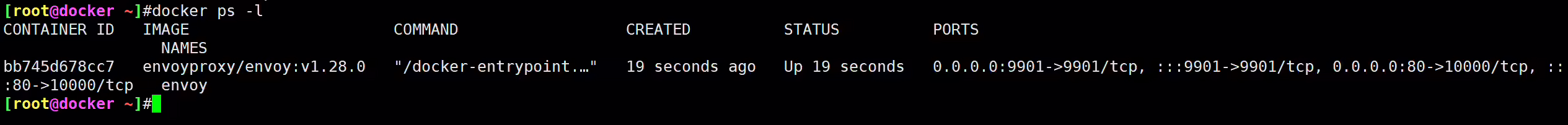 image-20231029113638389