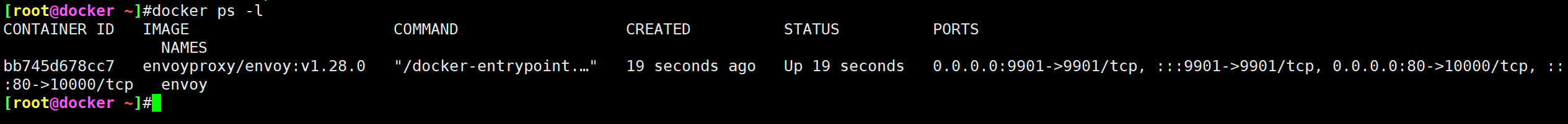image-20231029113638389
