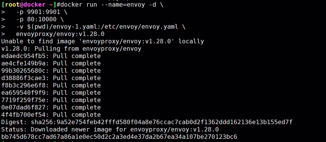 image-20231029113657729