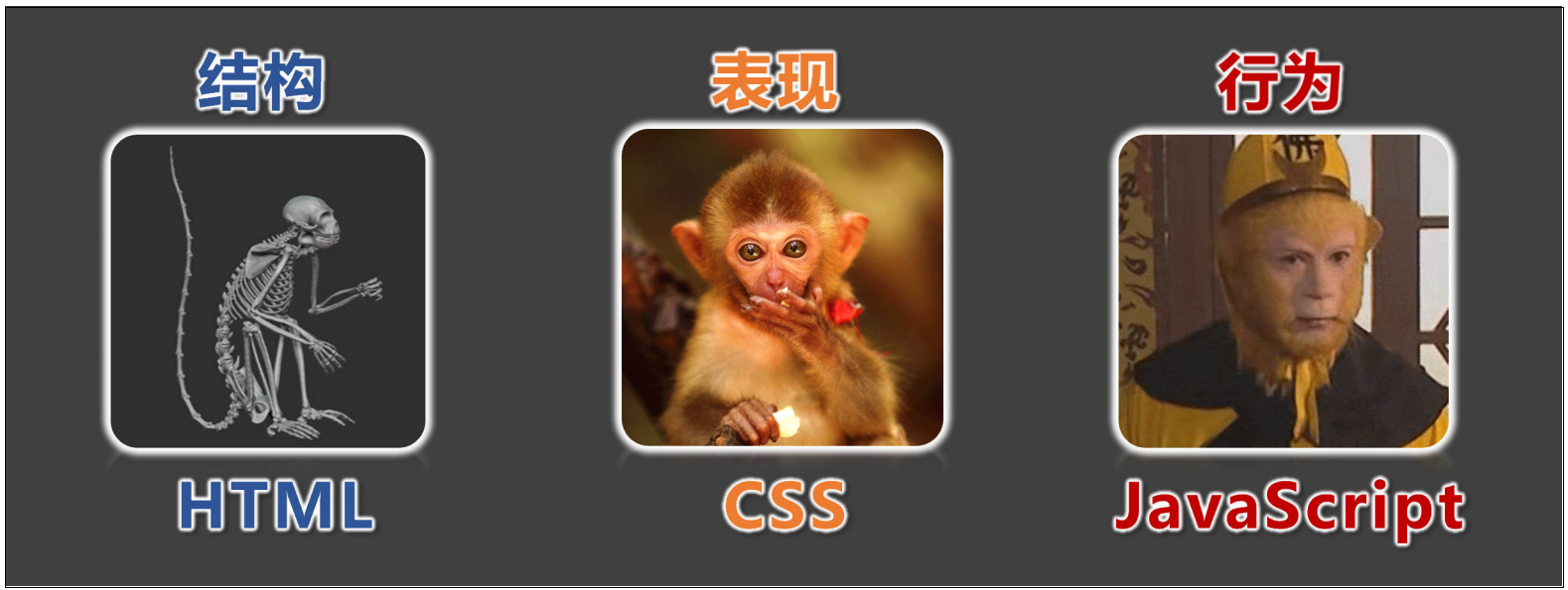 image-20240526062204790
