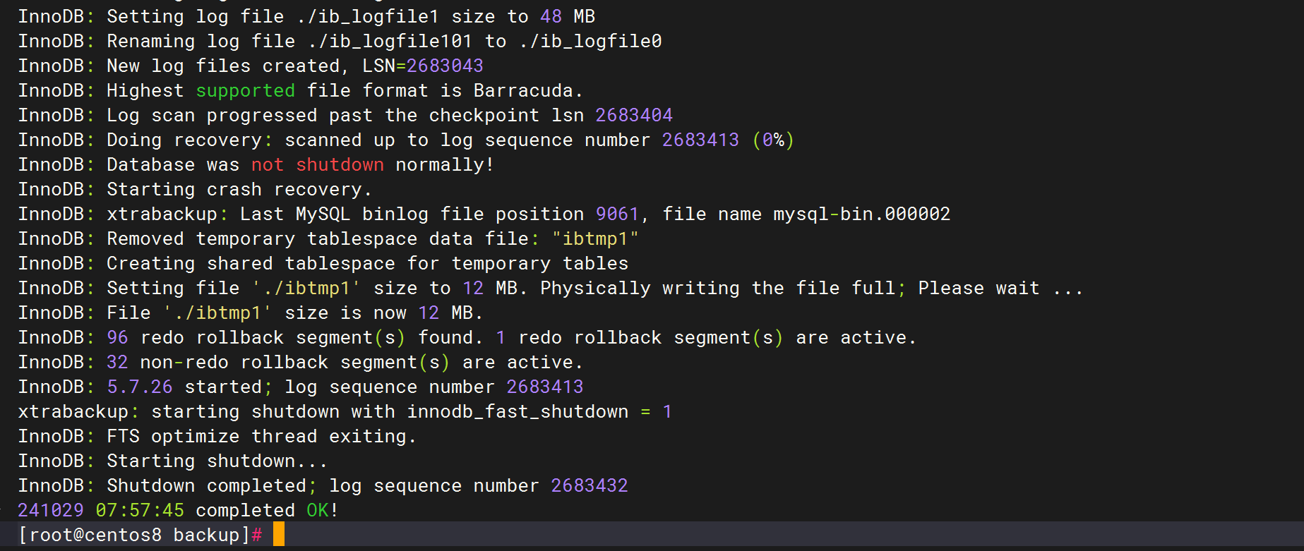 image-20241029061230913