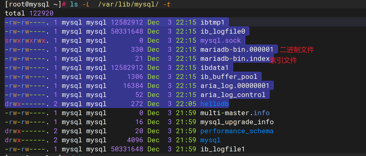 image-20241203211549785