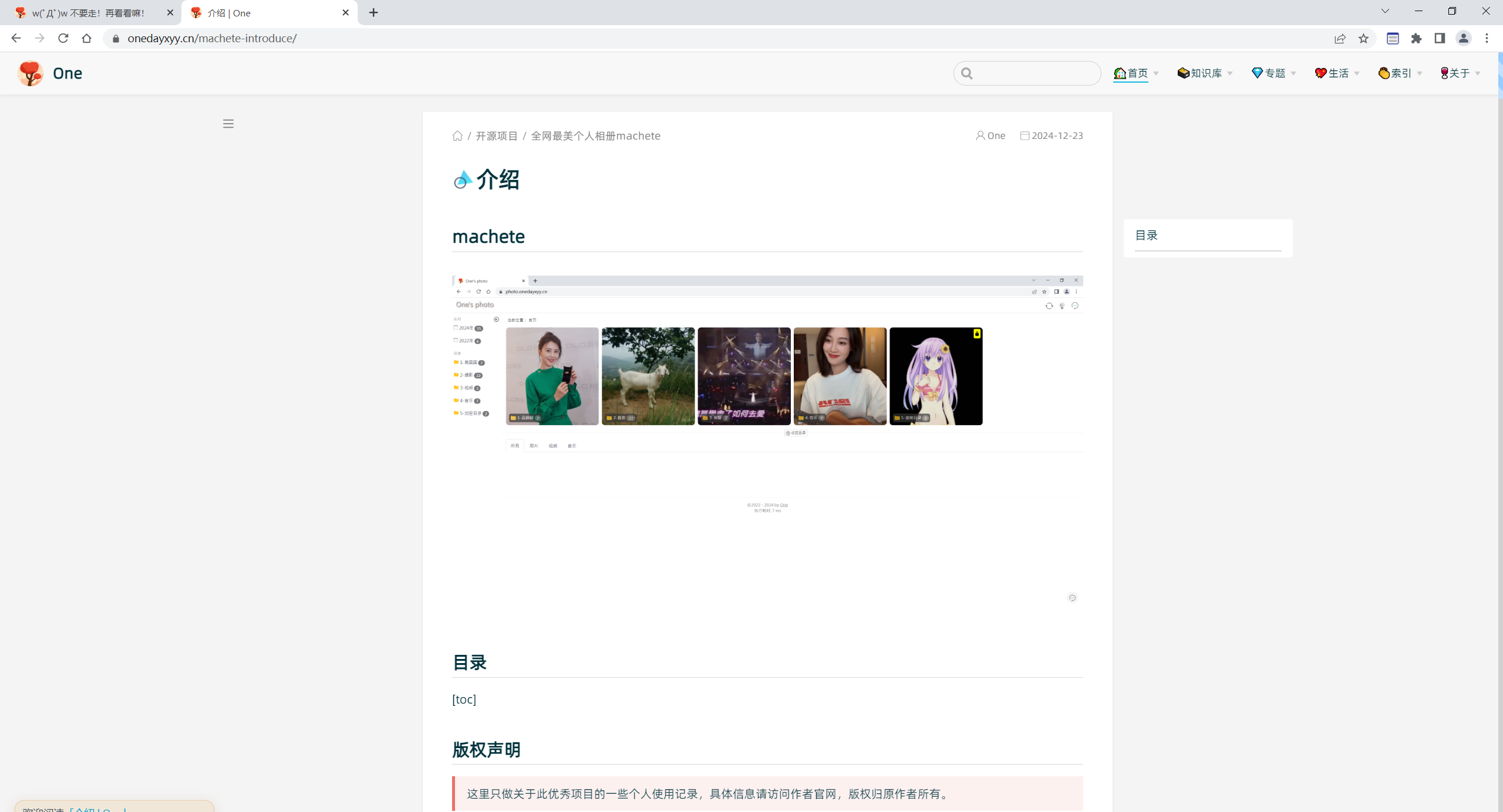image-20250113210221928