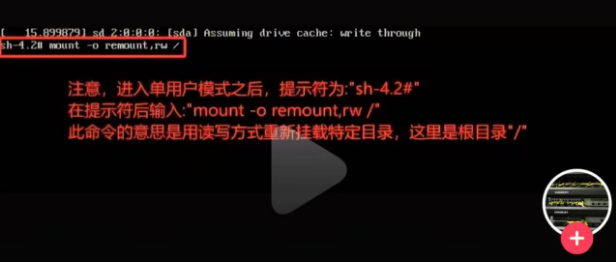 image-20250216215328037