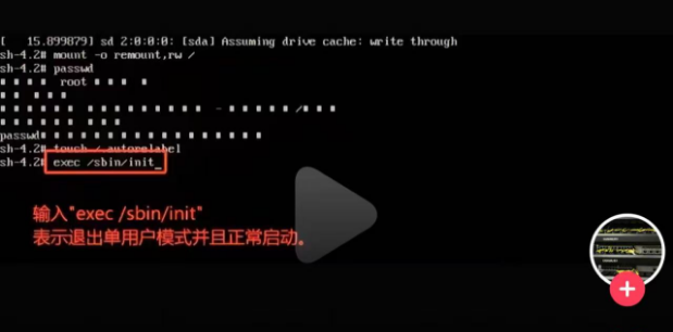 image-20250216215356443