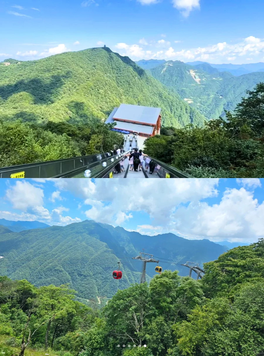 image-20250908161226942