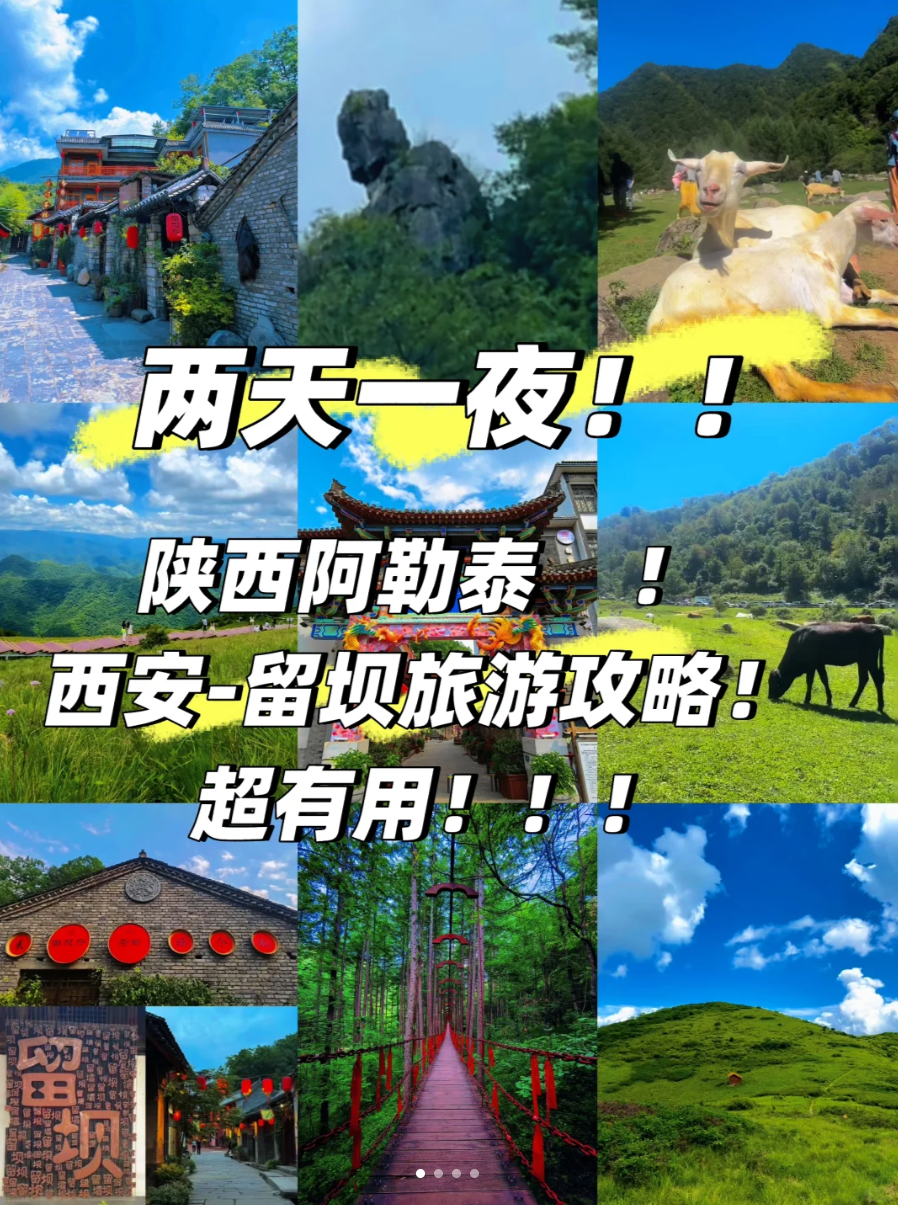 image-20250909102012431