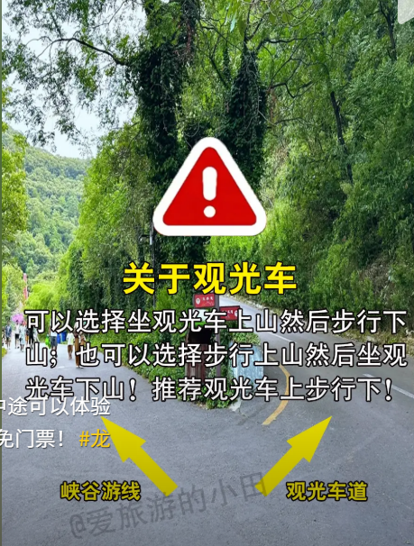 image-20250918203158058