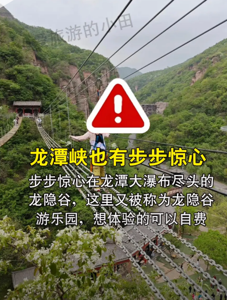 image-20250918203706302