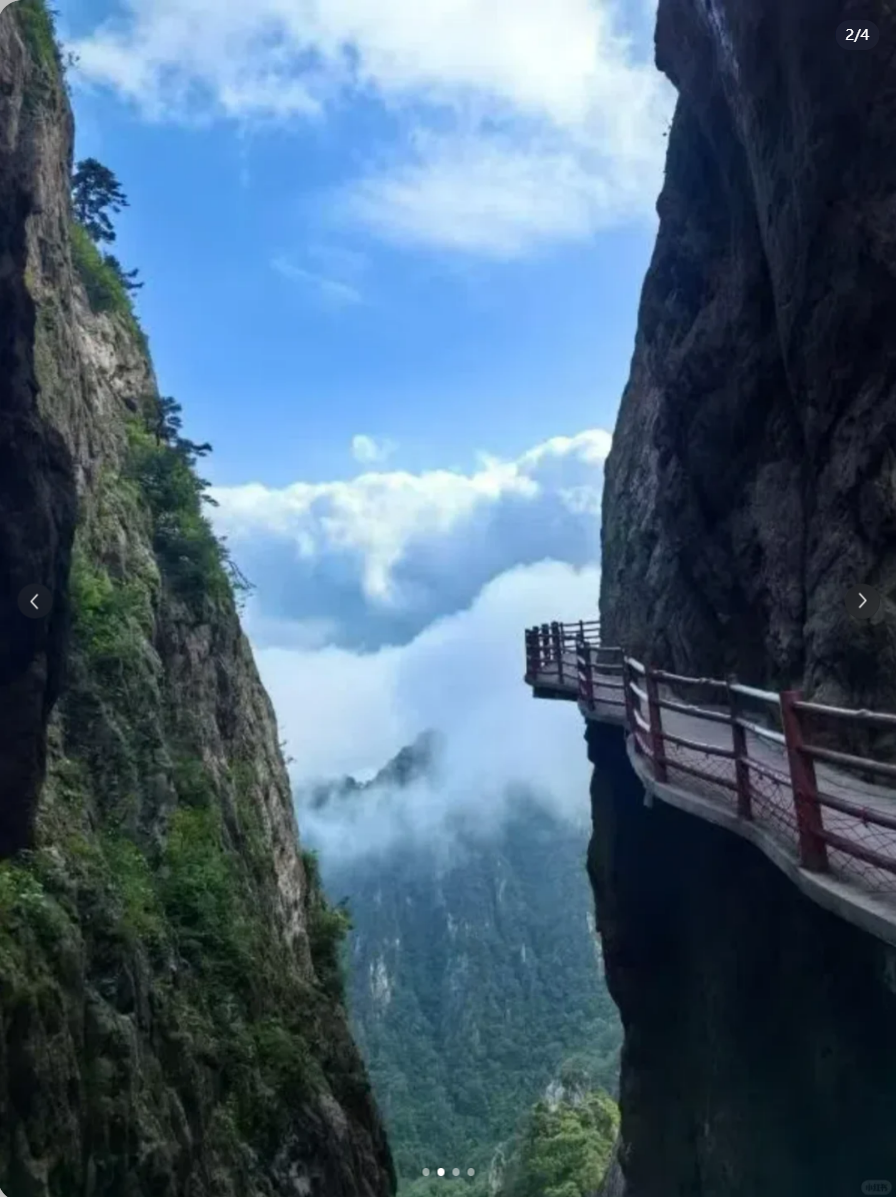 image-20250920140658023