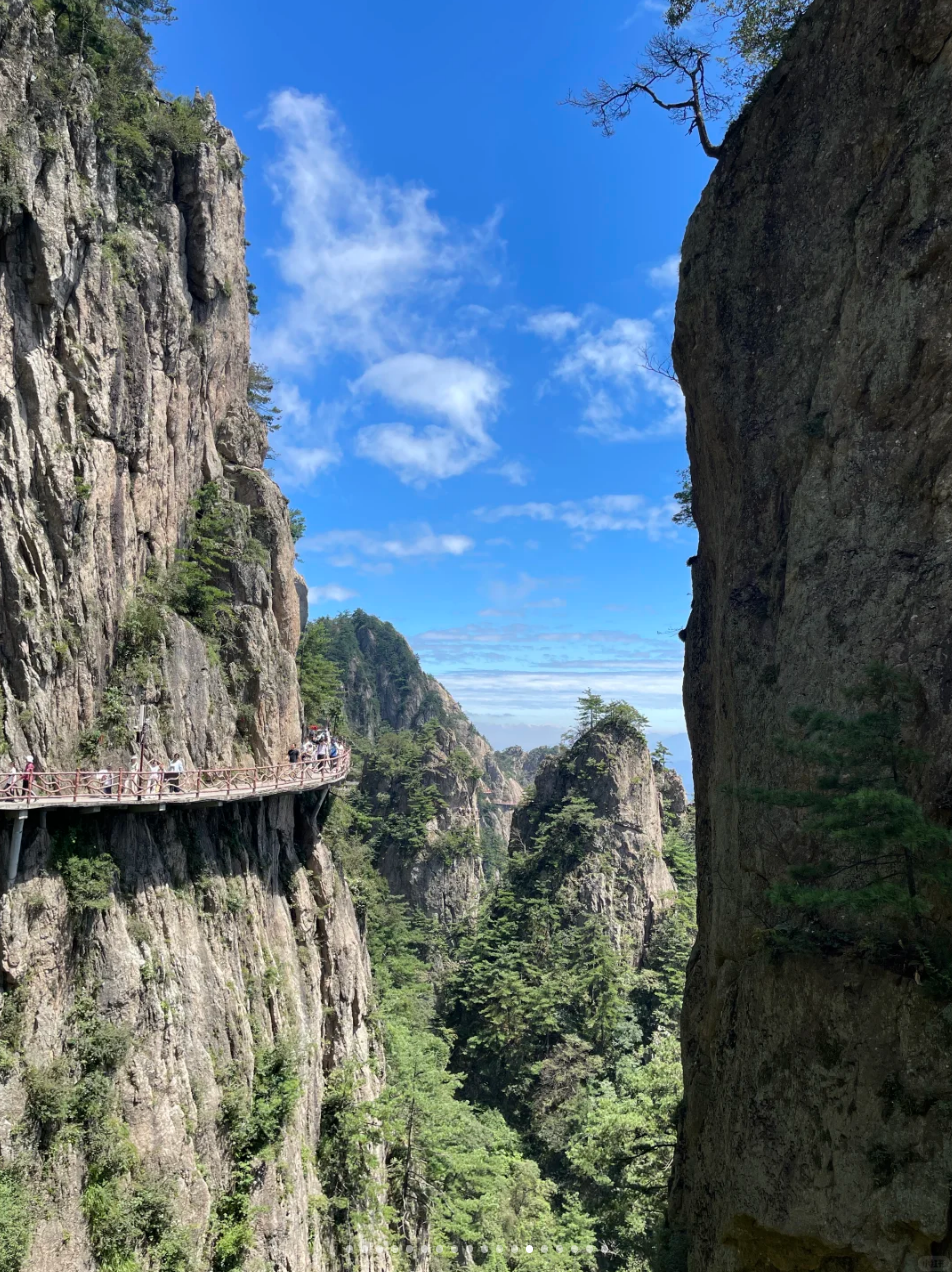 image-20250920142229999