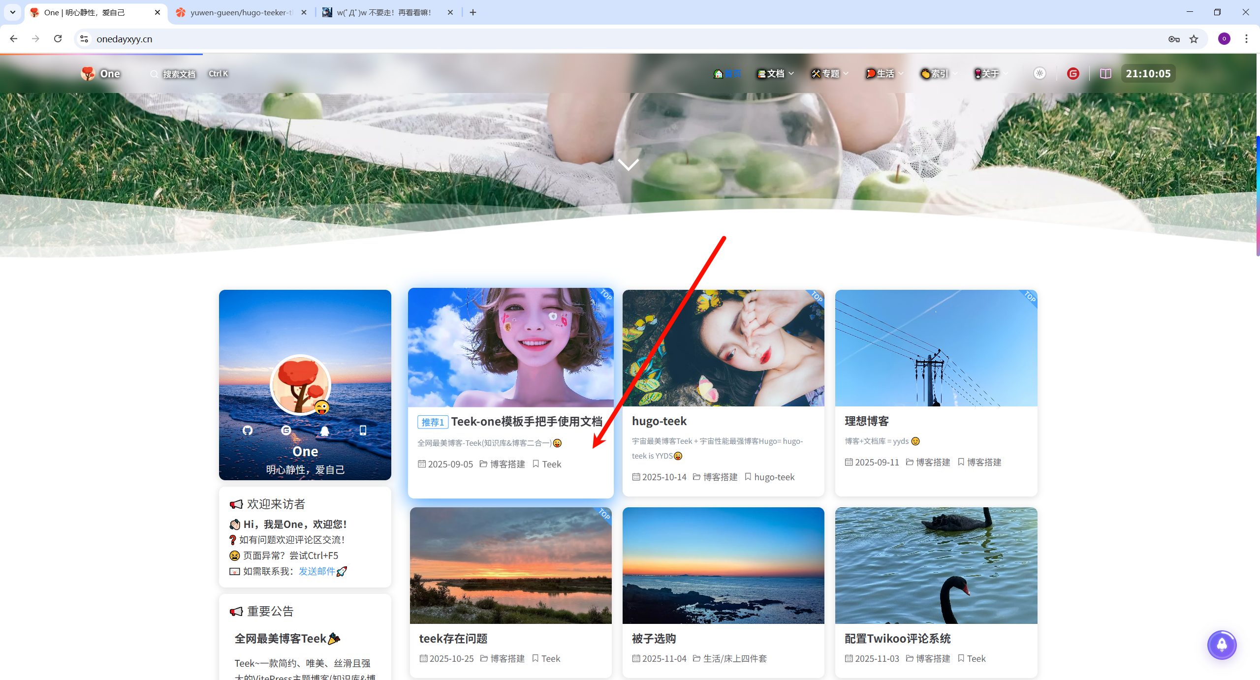 image-20251106211016244