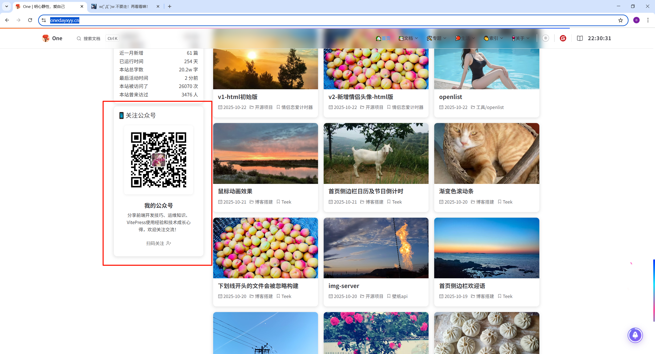 image-20251107223040547