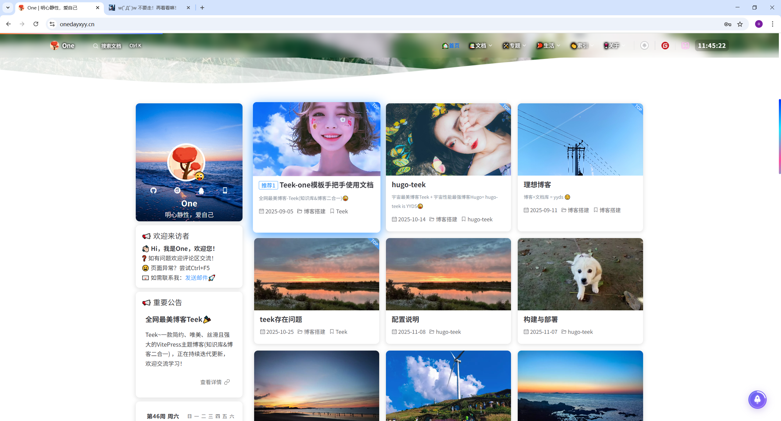 image-20251108114532587