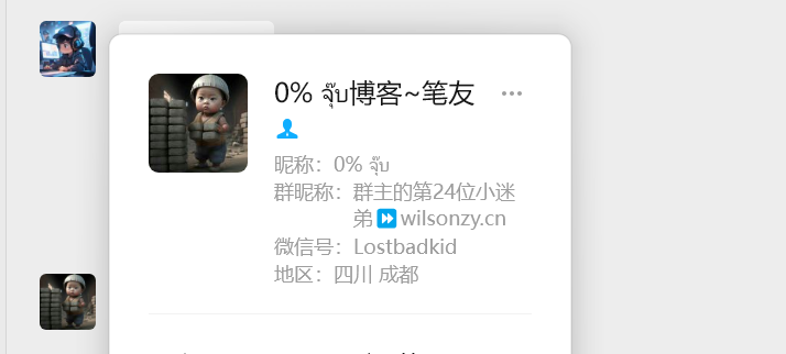 image-20251117162902802