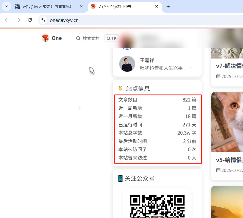 image-20251125065159335