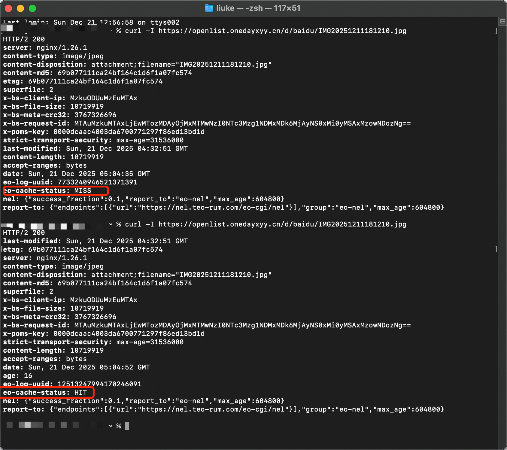 image-20251221155911856