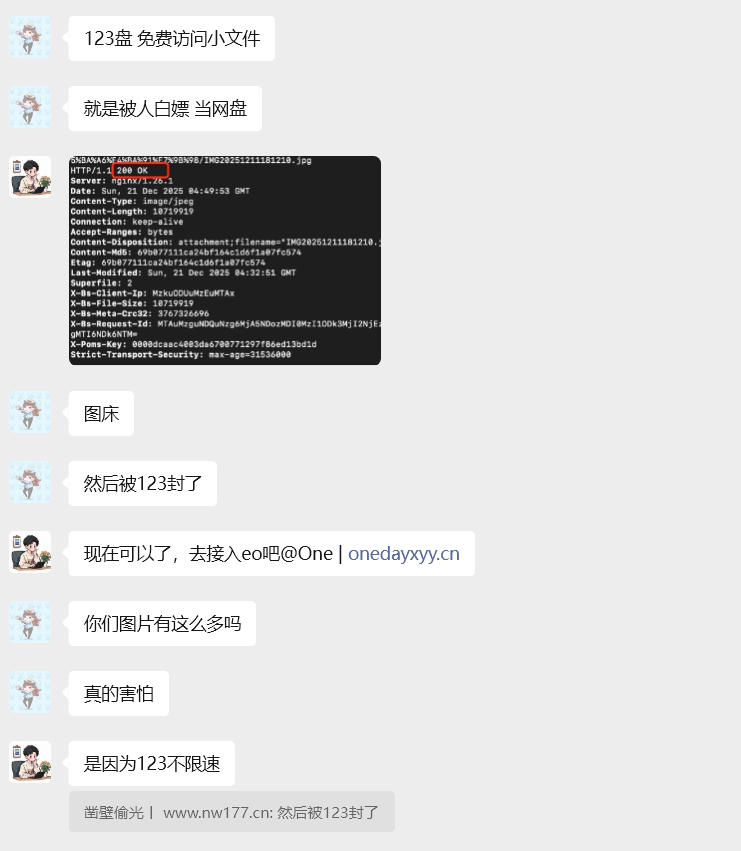 image-20251221182546089