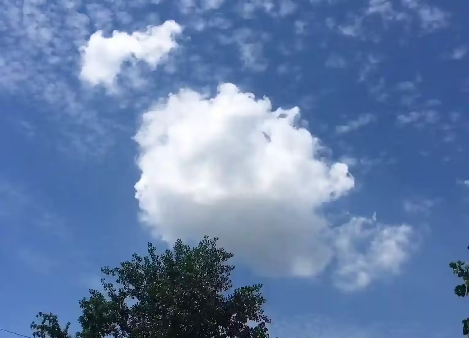 兰德胡涂